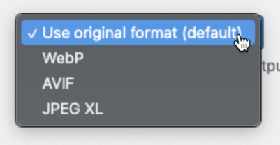 Image format options available for various image types.