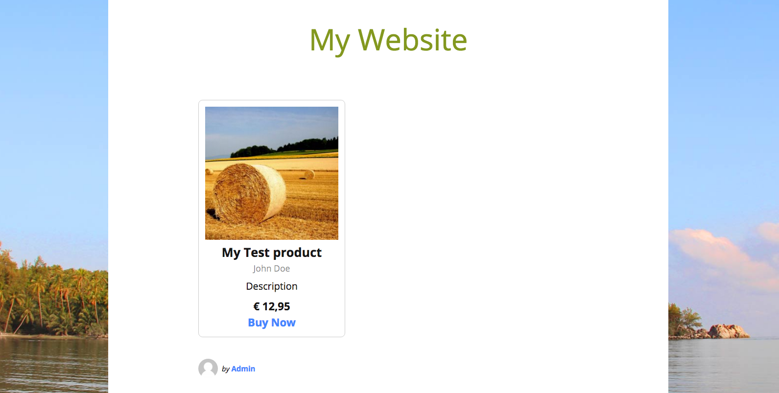 The product box is automatically shown on your website's front-end.