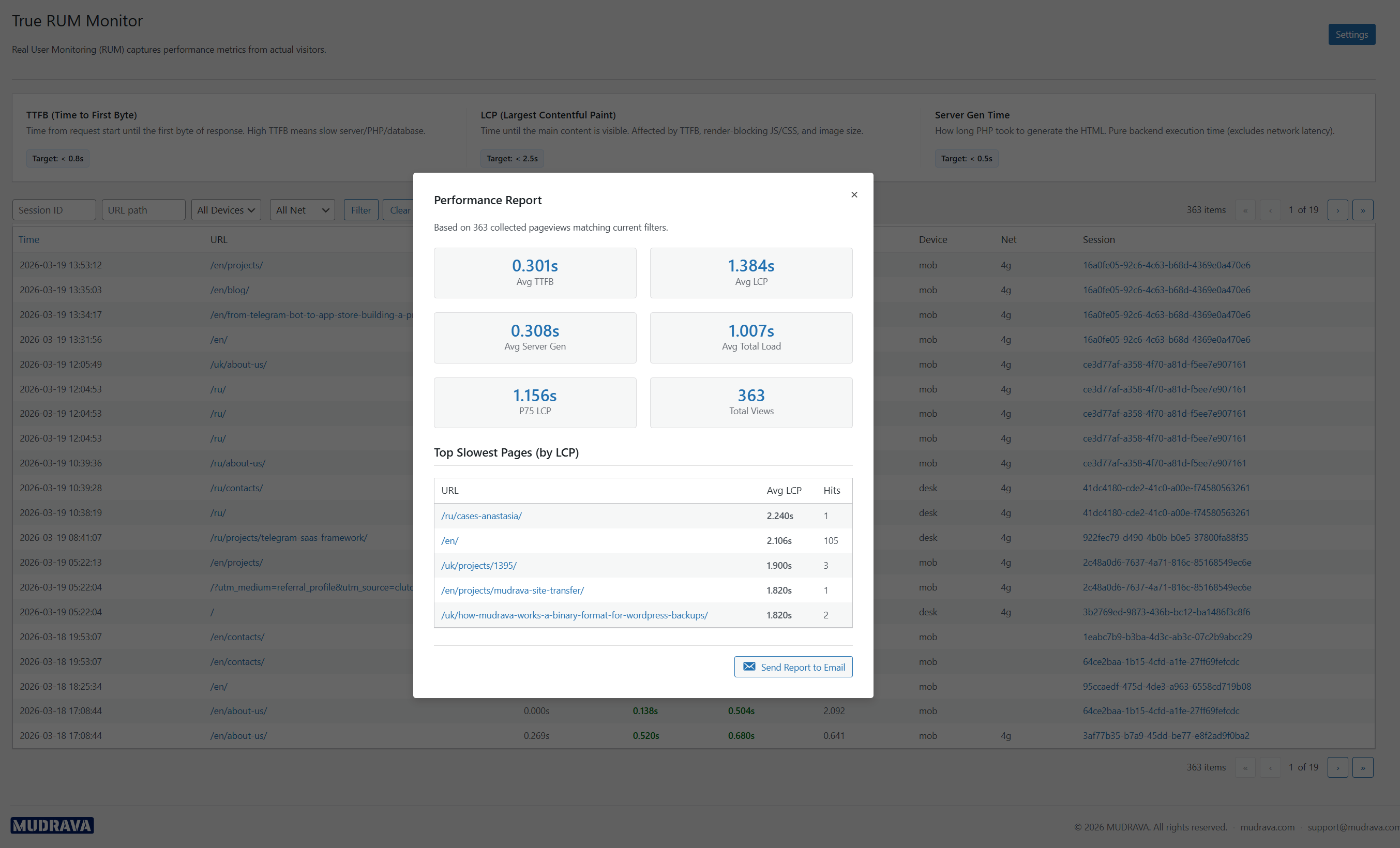 Performance report modal with averages and top slowest pages.