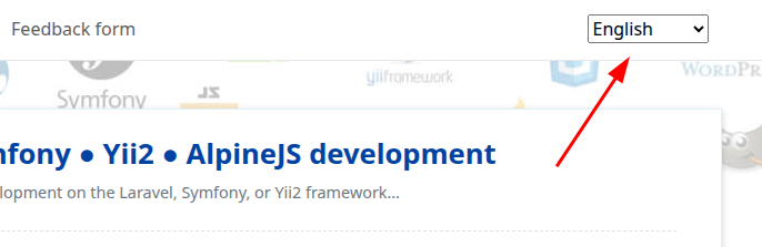 Language switcher rendered on the frontend.