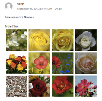 comments look like this to people with  authorization