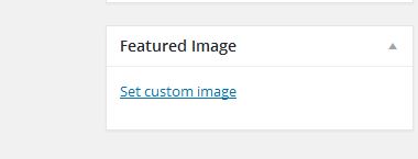 Selecting the Size of the image to be used
