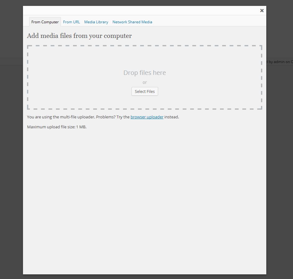 Image shown as thumbnail on a site which is not the main site