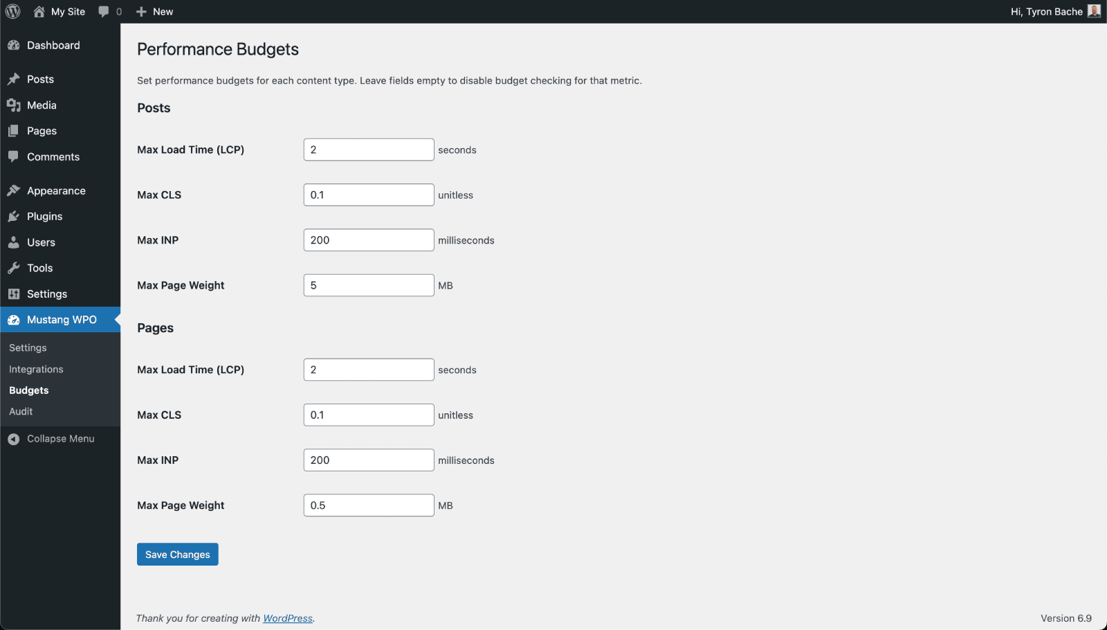 Audit page running a global audit.