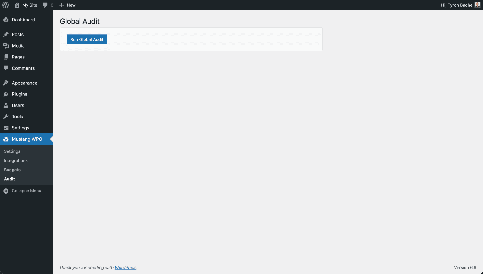 Audit page after running an audit.
