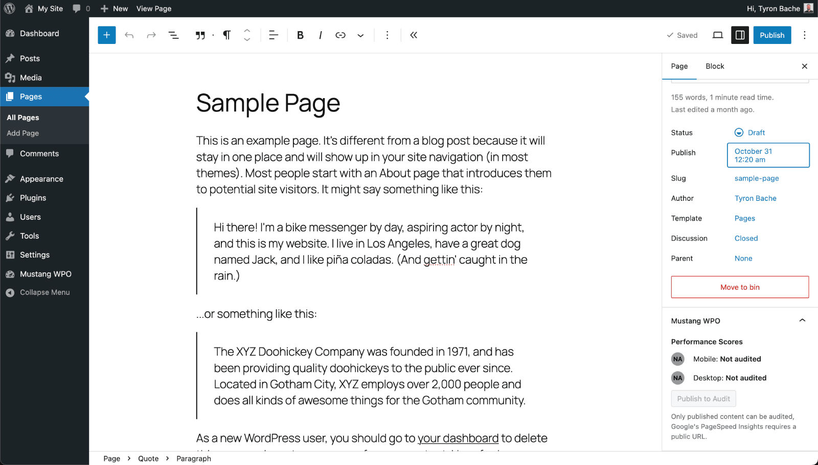 Document settings after running a single audit.