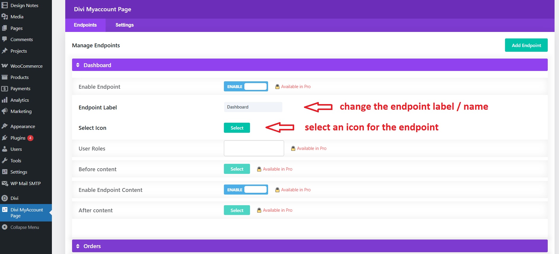Change endpont label (name) and adding icon.
