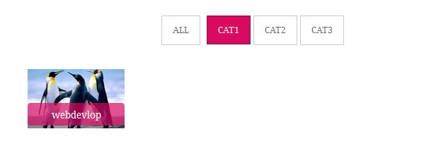 one category
