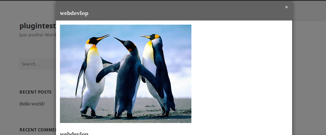 popup portfolio