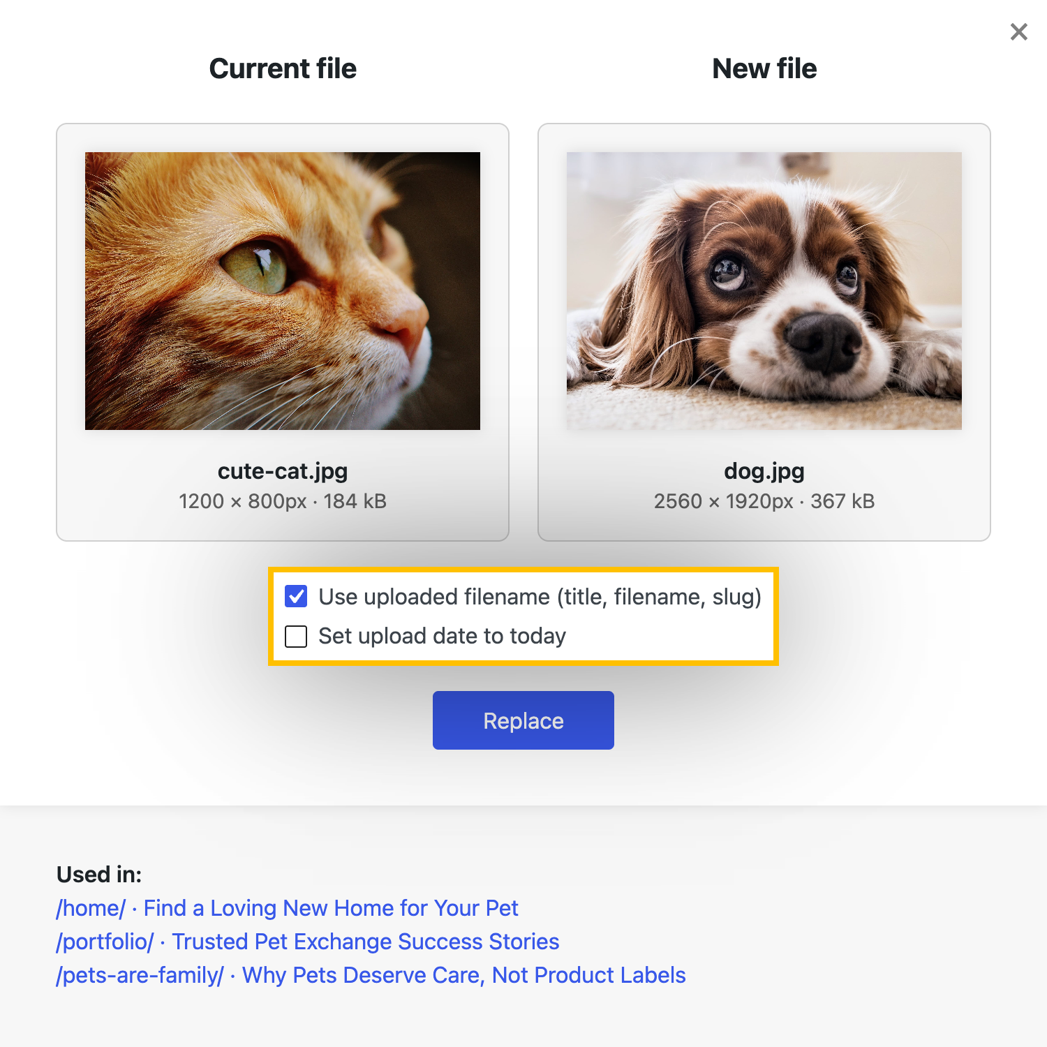 neo Replace - Decide for yourself whether to replace only image data or also filename, title, slug