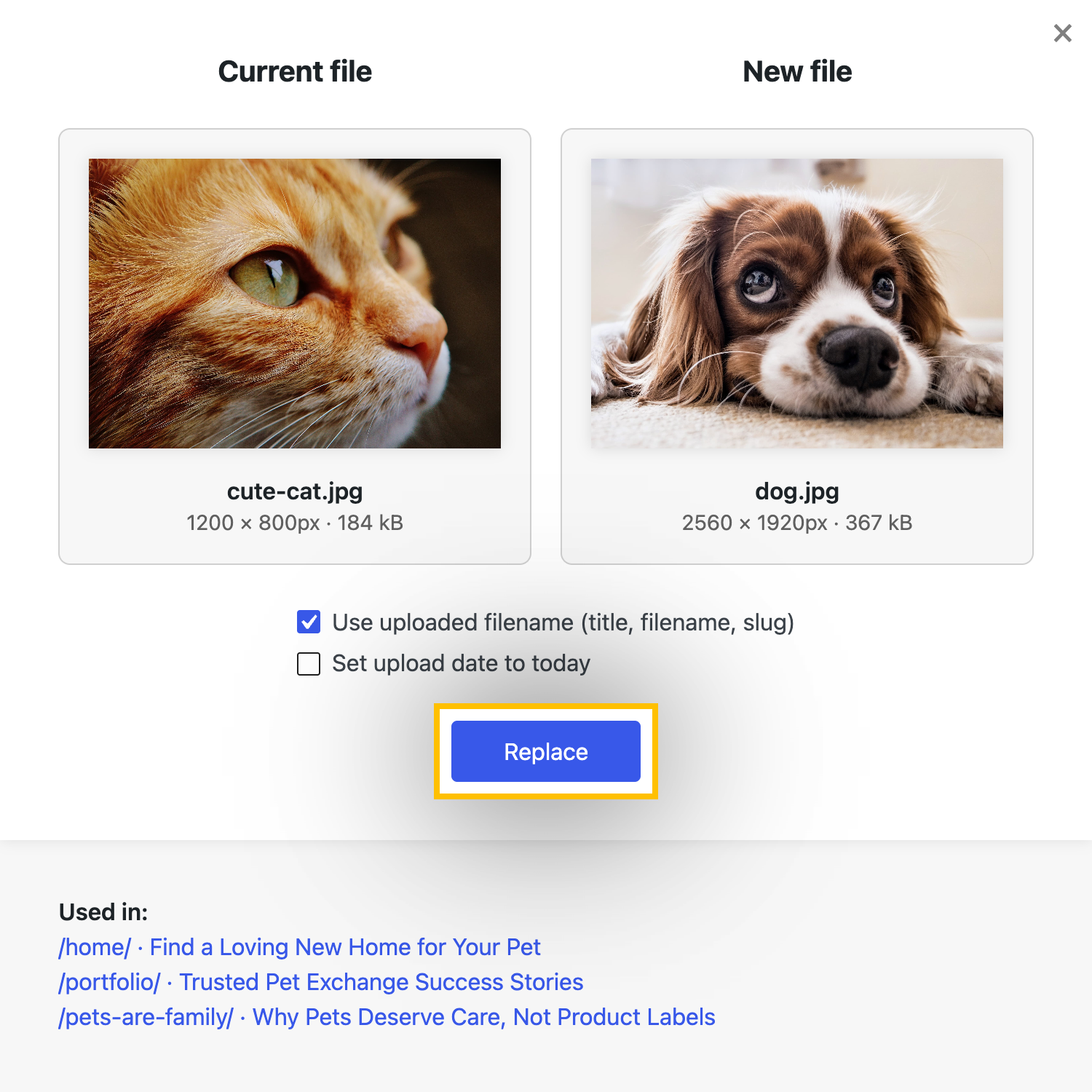 neo Replace - All existing image references including thumbnails are updated automatically
