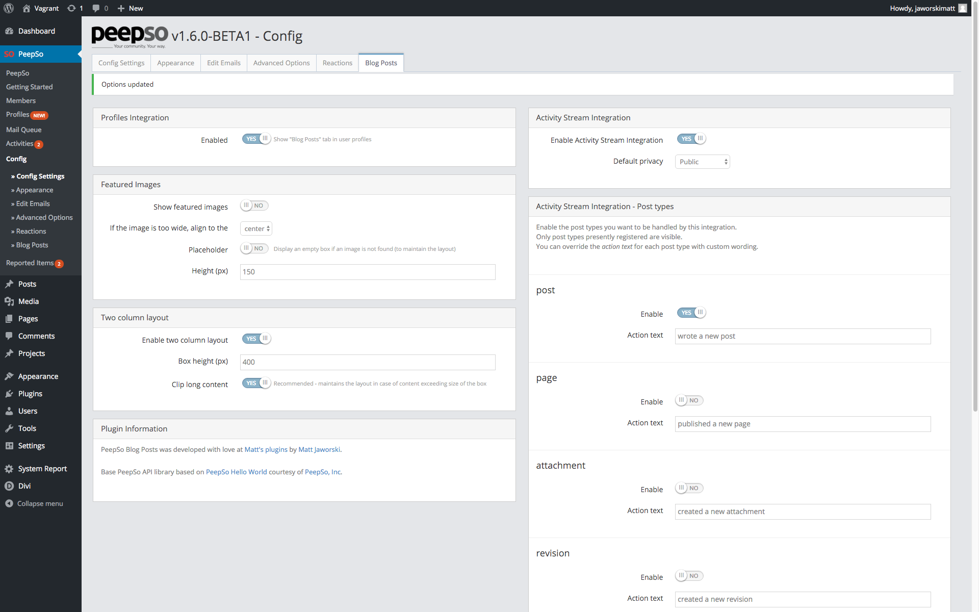 The config panel