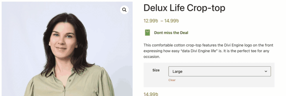 Shop/archive page message display