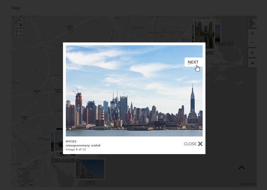 The Infobox showing detailed information about a picture. Hybrid map style.