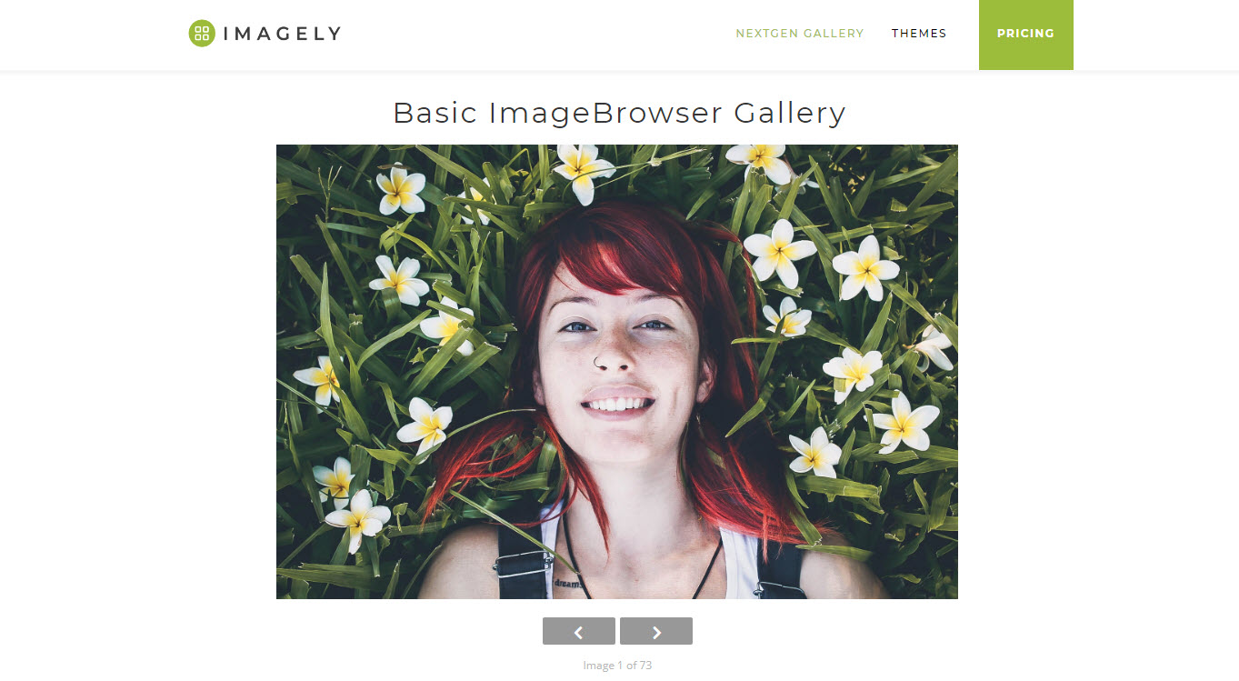 Imagebrowser Gallery
