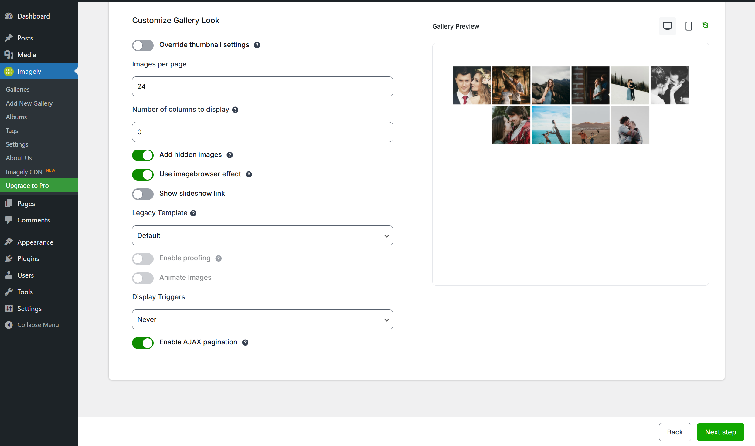 Insert Gallery Window