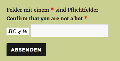 Really Simple Captcha in the form