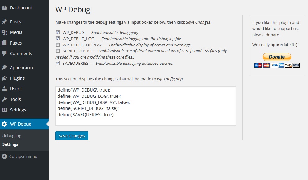 The settings page for the WP Debug plugin