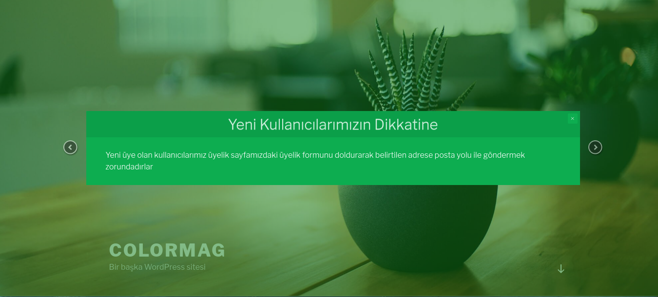 Example for add new notice page.