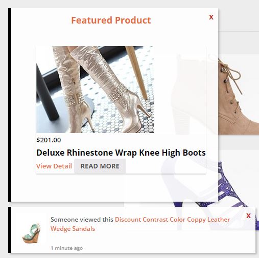 Example Notification Box Premium with custom message