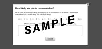 This is a sample of the NPS Survey that pops to the user.  It is an industry standard NPS survey.
