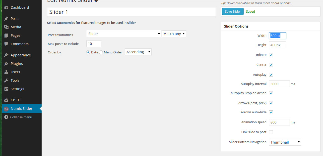 Admin slider options screenshot