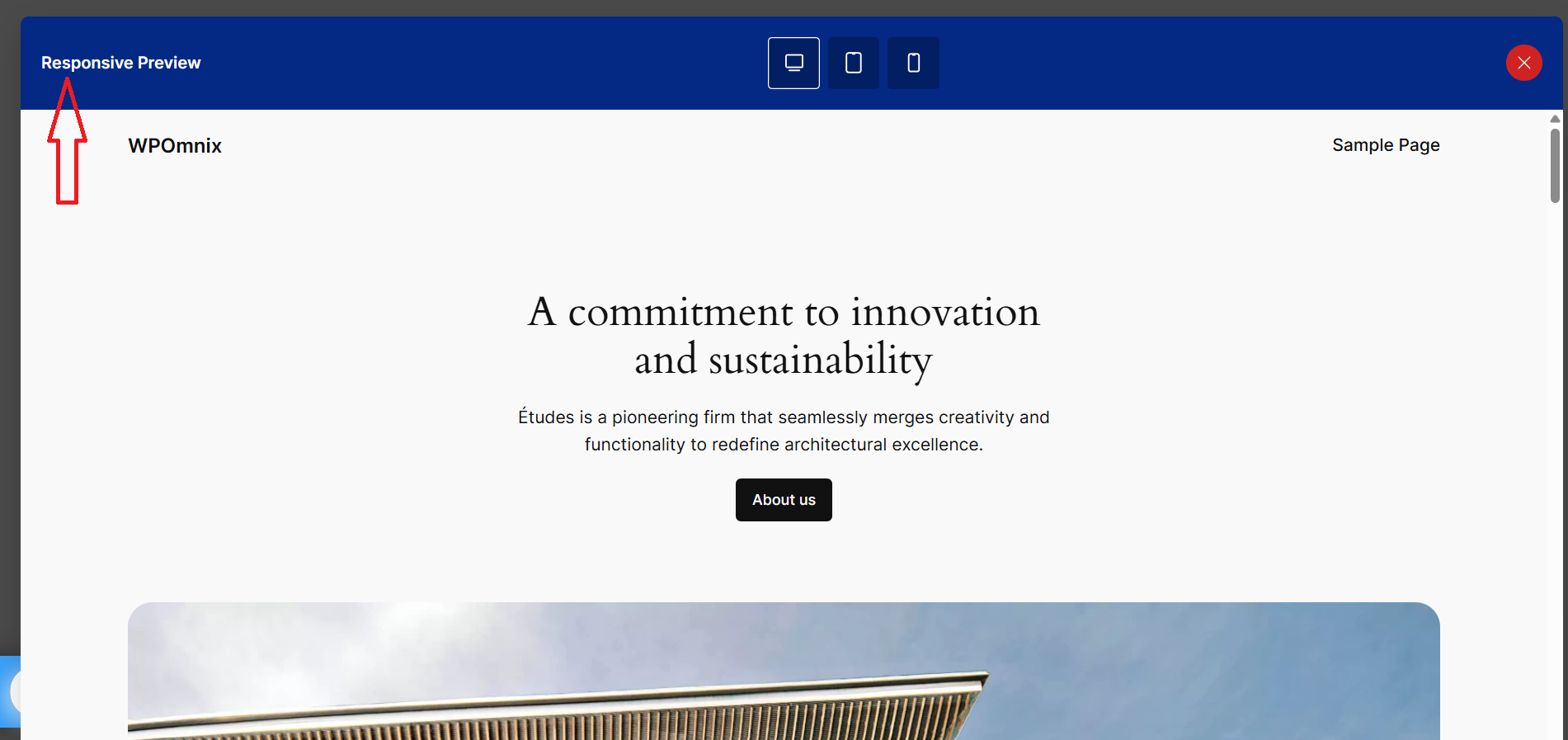 Responsive Preview panel