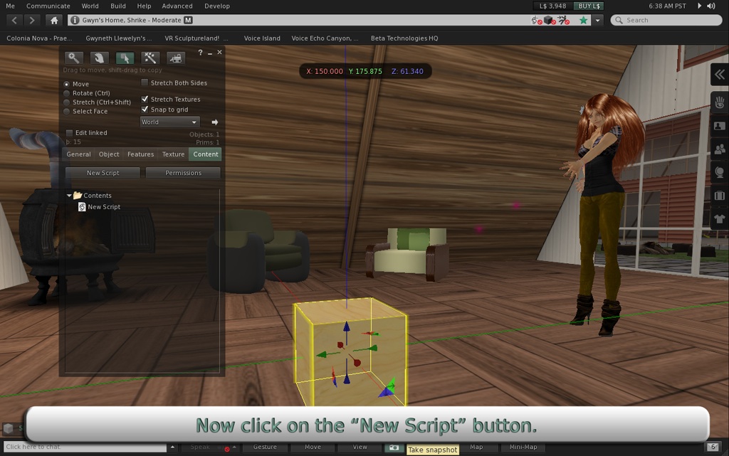 Now click on the "New Script" button.