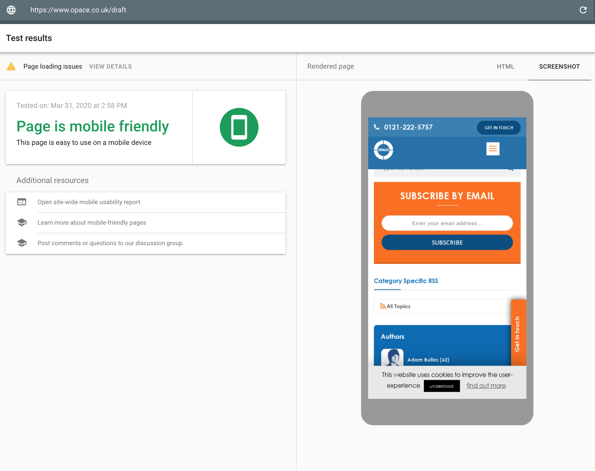 Example test result using the Google Mobile Friendly Test