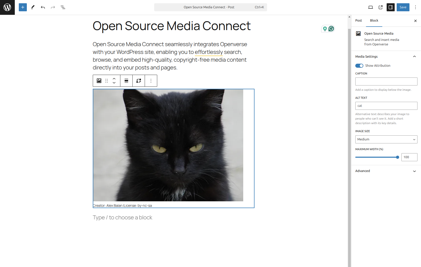 Openverse search interface