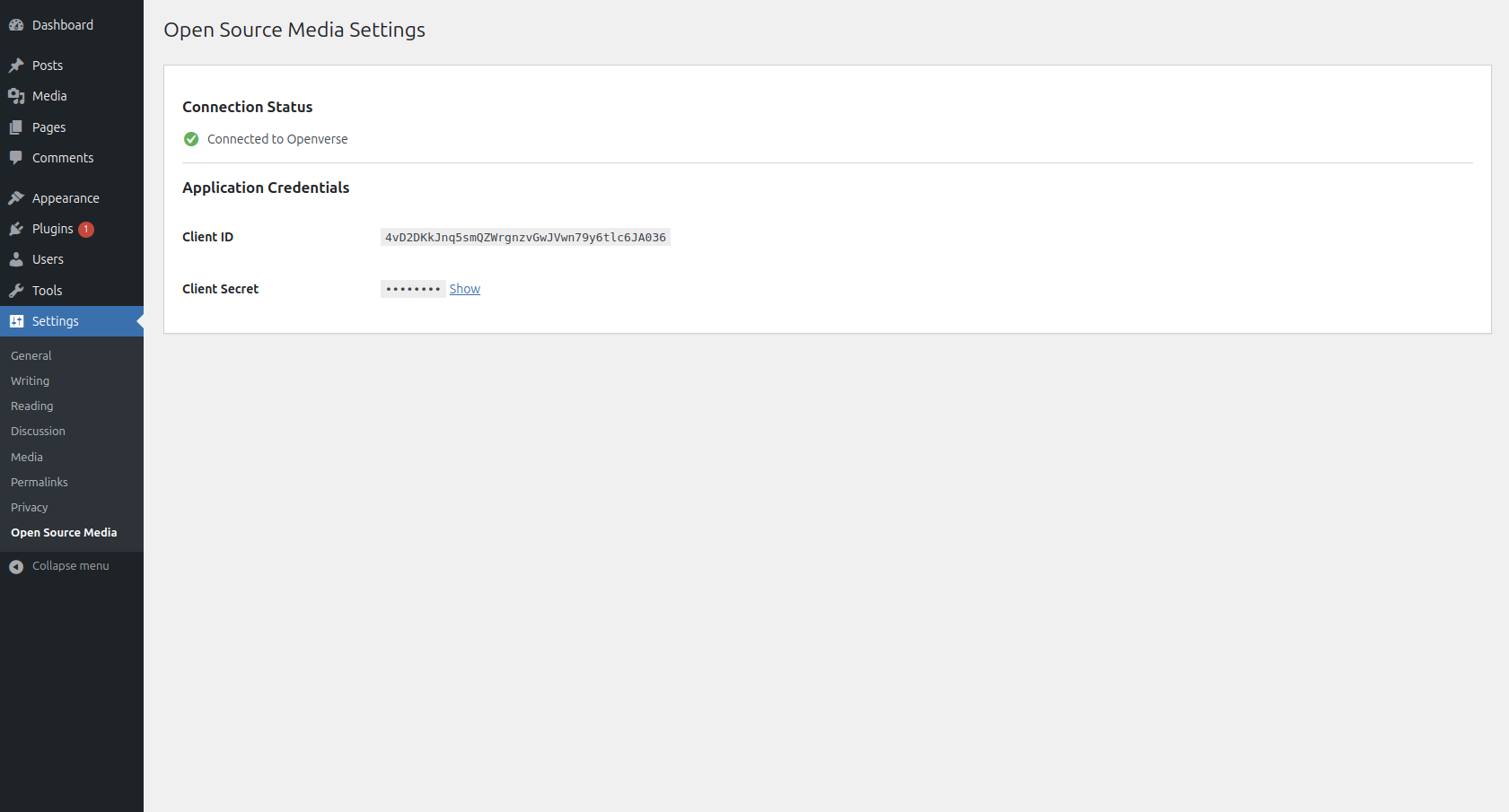 Plugin settings page