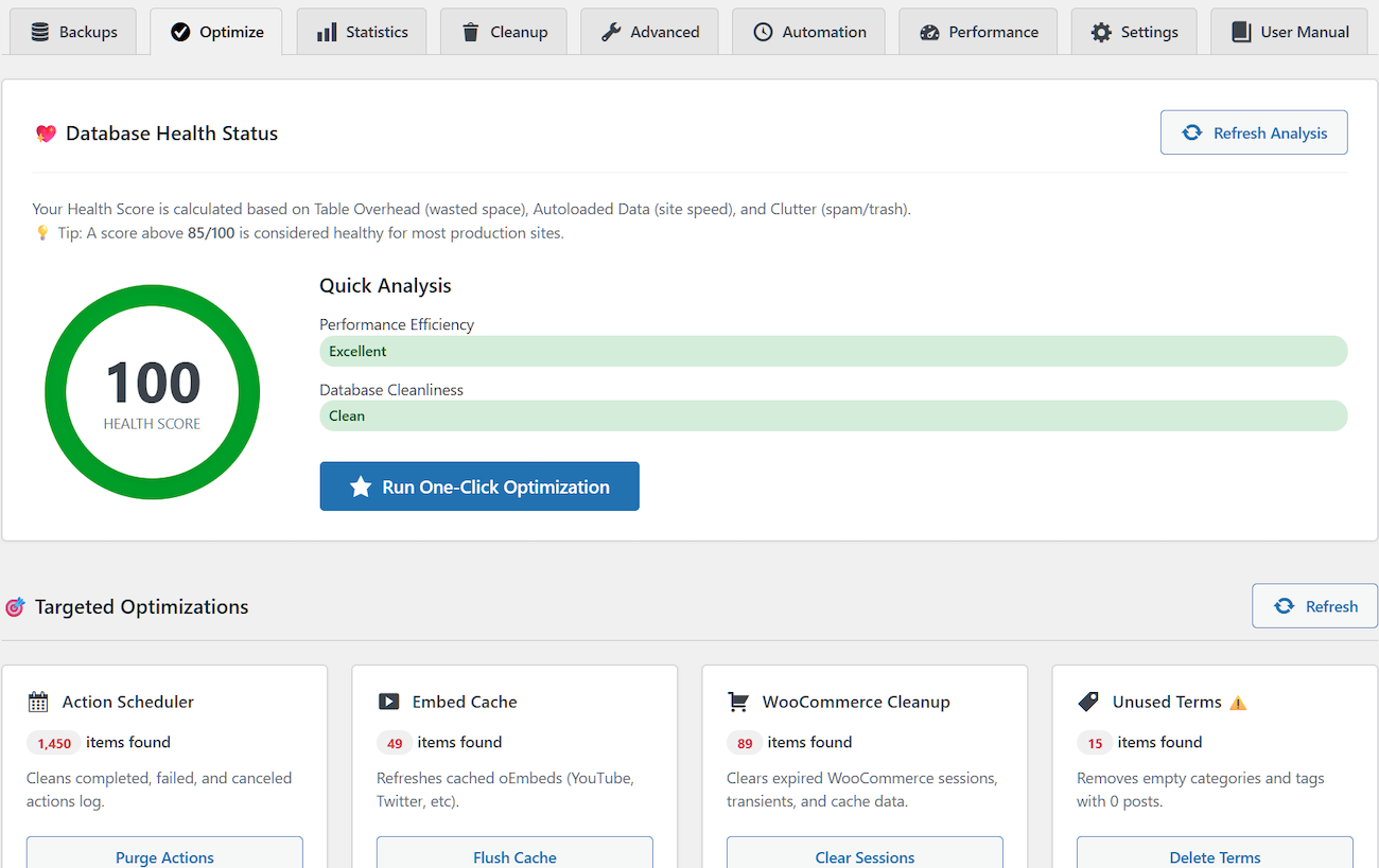 Cleanup Interface - Itemized cleanup options with counts