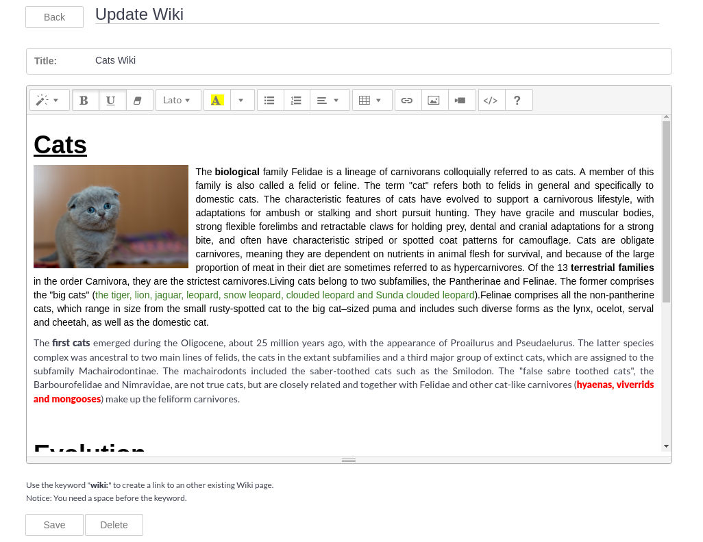 WYSIWYG editor view.