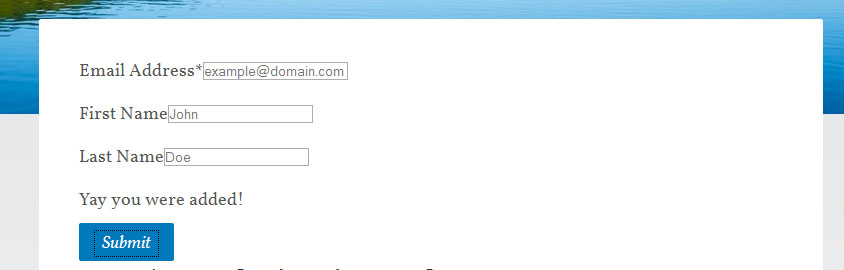 Unstyled Successfully Submitted Form