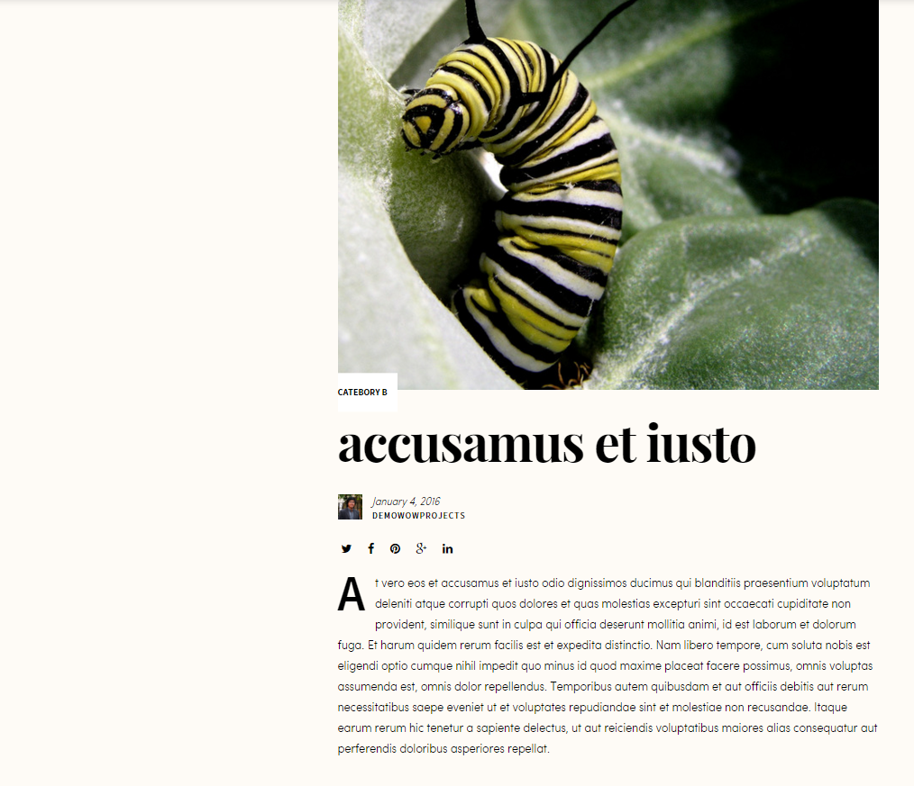 Single organization program displayed on the front-end with a little CSS.