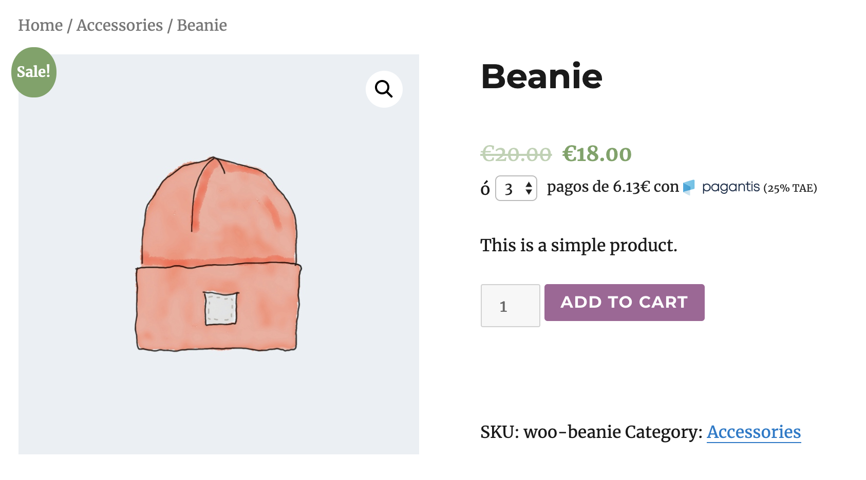 Pagantis checkout page