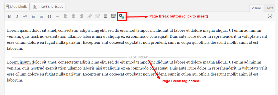 "page-break-scrren-2" - How to insert "Page Break" to post.