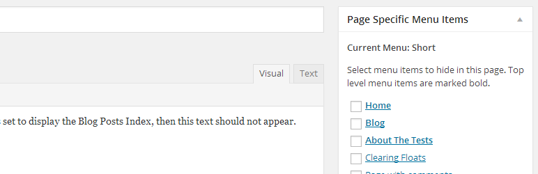 Page Specific Menu Items: page specific settings