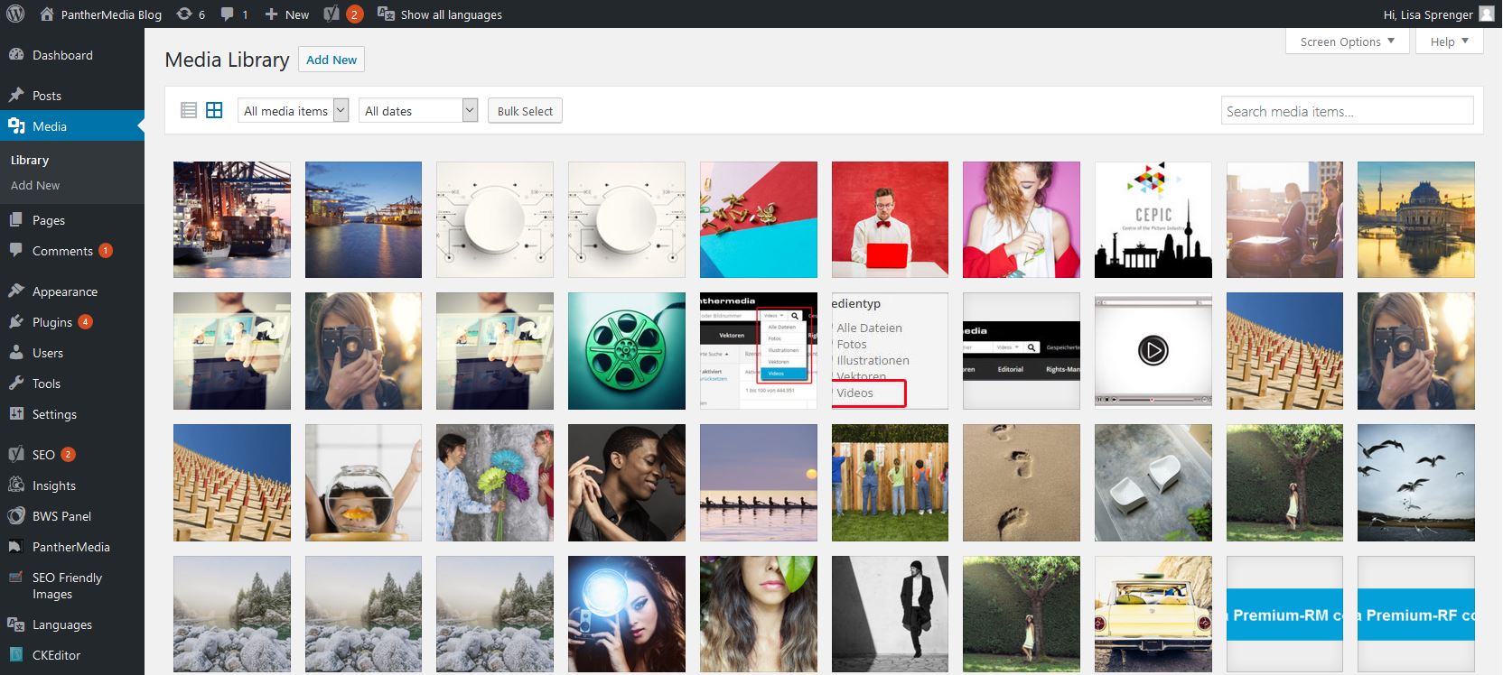 Media library with PantherMedia Images