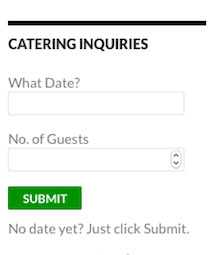 The widget theme view on the frontend of WordPress