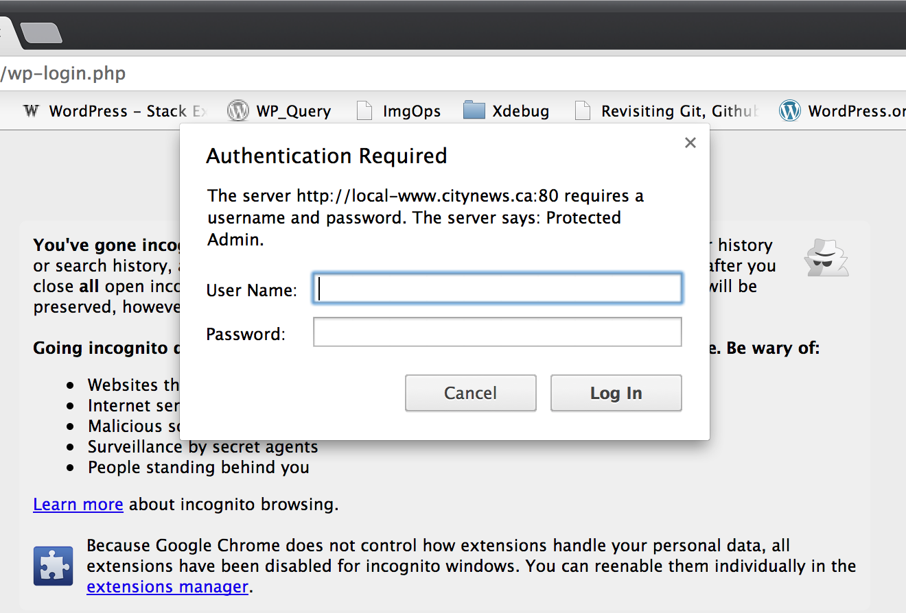 HTTP Authentication on Chrome, your browser my not look the same but it should be similar.