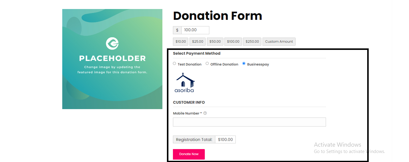 Display Asoriba Businesspay Payment Gateway option in Donation Form  #3