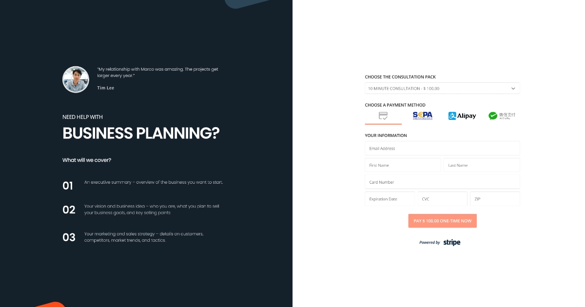 Consultant Payment Page Template