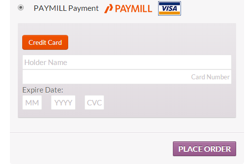 Payment Form