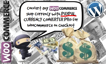 PayPal pay page