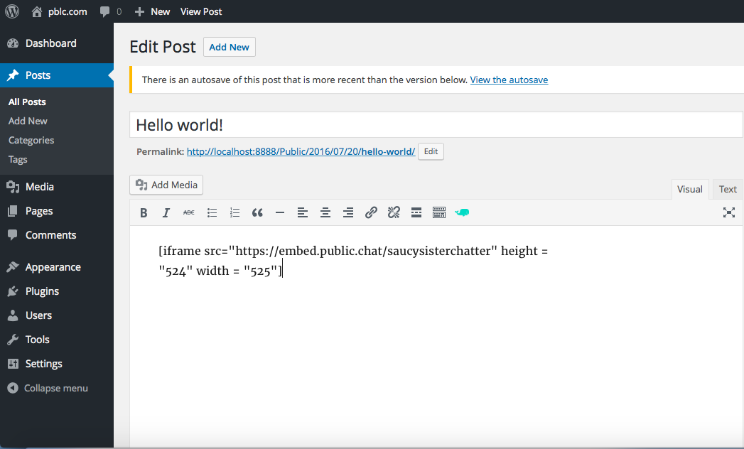 In the WordPress tool, your chat will look like this.