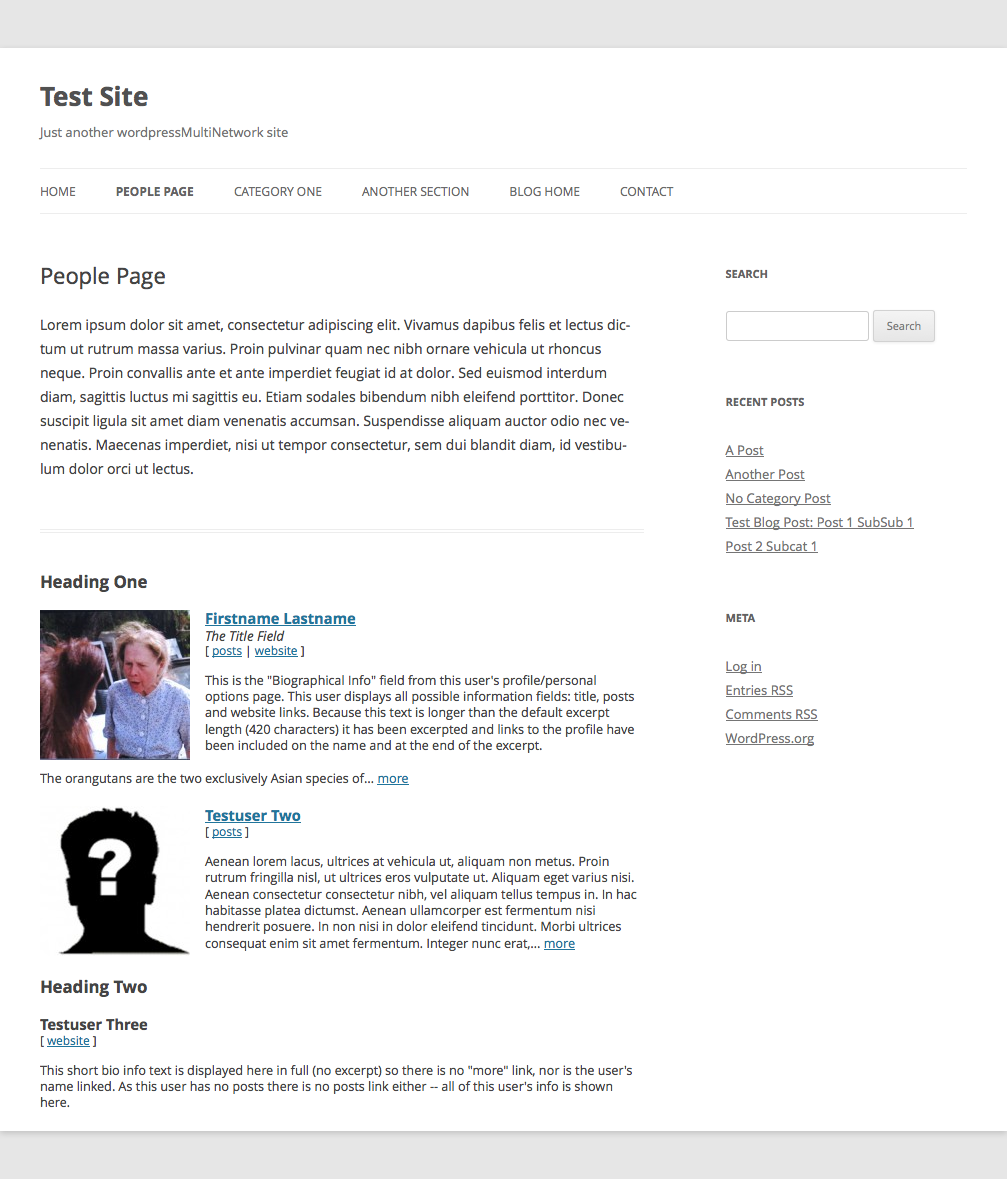 A people page template based on the Twenty Twelve theme. It lists active users, meta information, biographical excerpts and links to users' profile page (author.php).