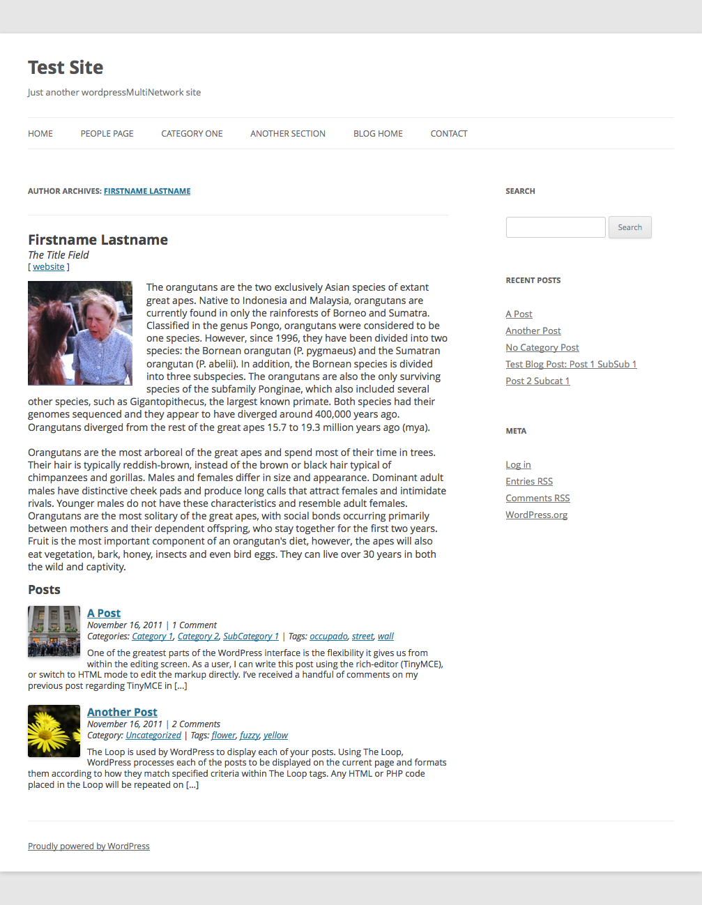 A user profile page (author.php) based on the Twenty Twelve them showing full biographical information and latest posts (three maximum).