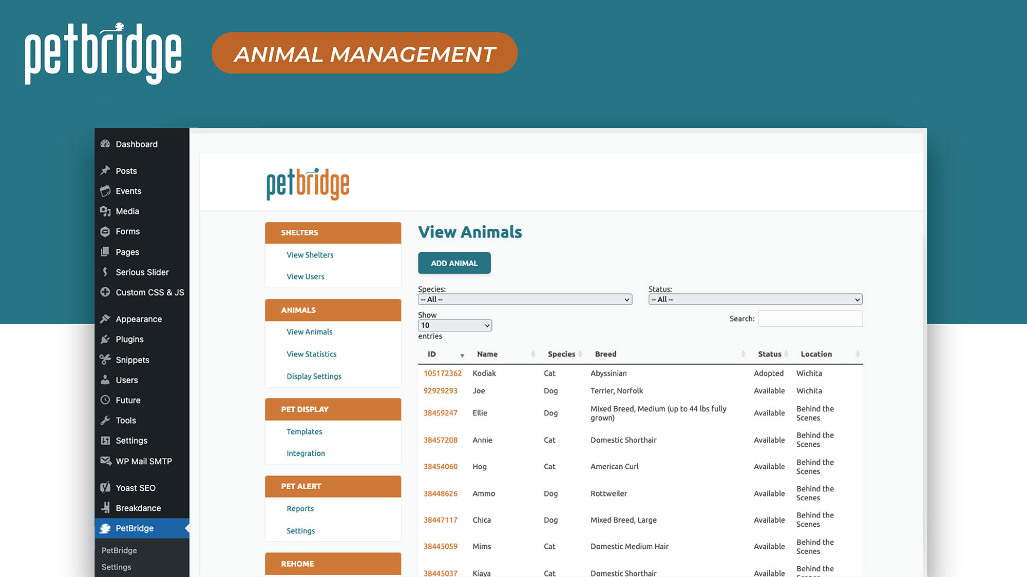 PetBridge dashboard inside the WordPress admin for connecting your PetBridge account.