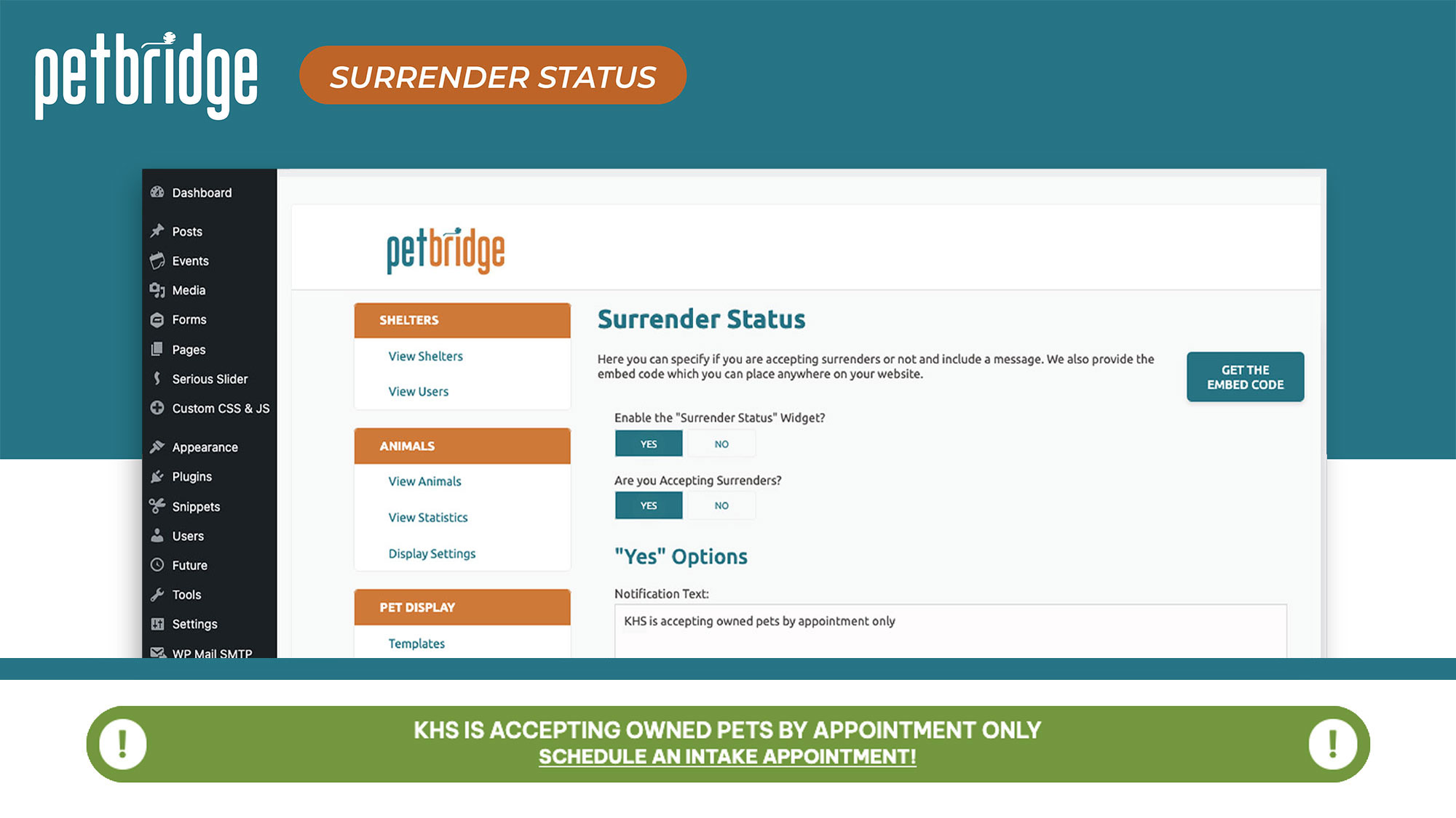Surrender Status widget displaying current intake availability.